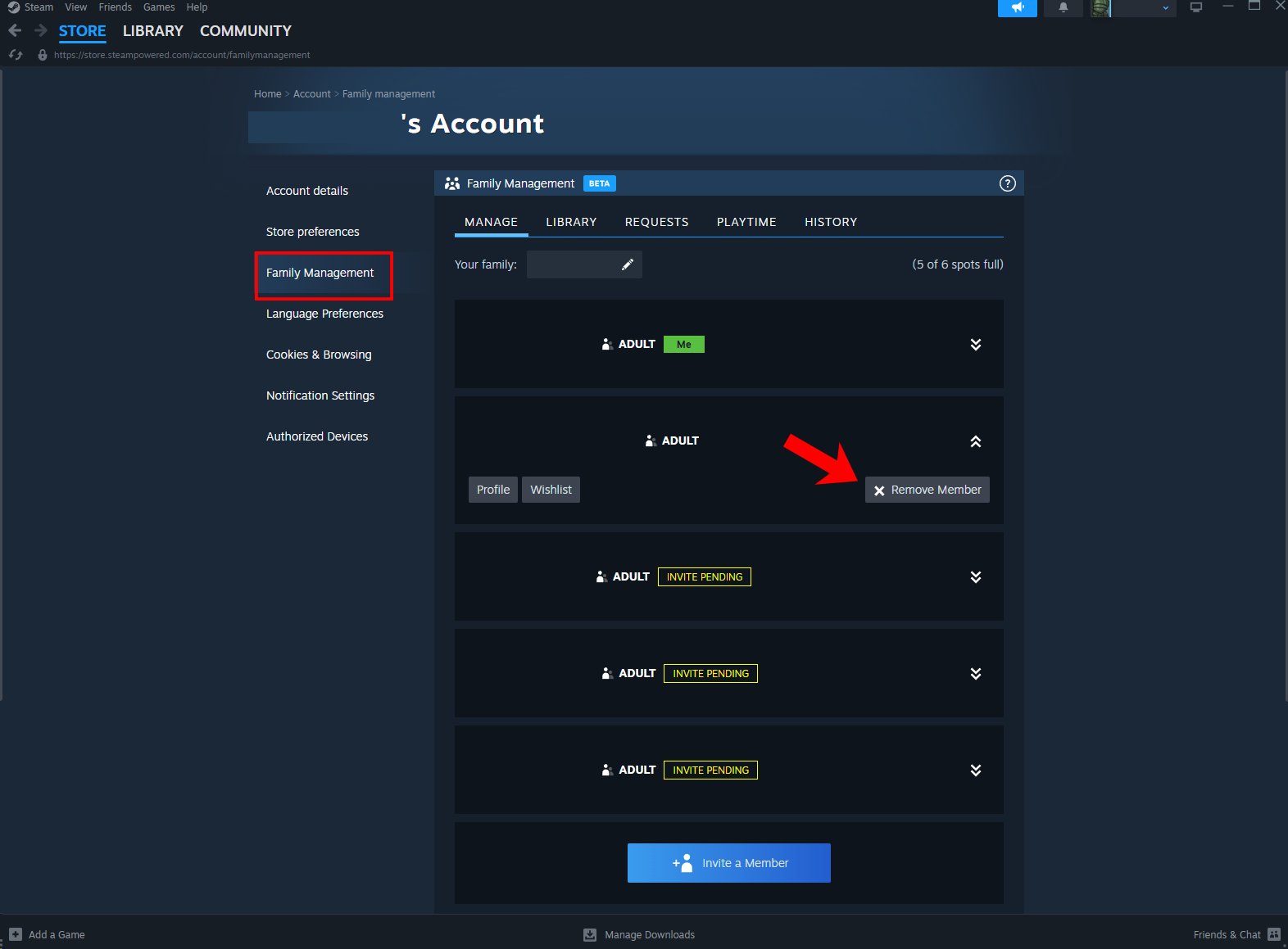 Интерфейс Steam: удаление участника семейного доступа из списка.