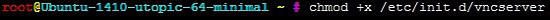 chmod +x /etc/init.d/vncserver
