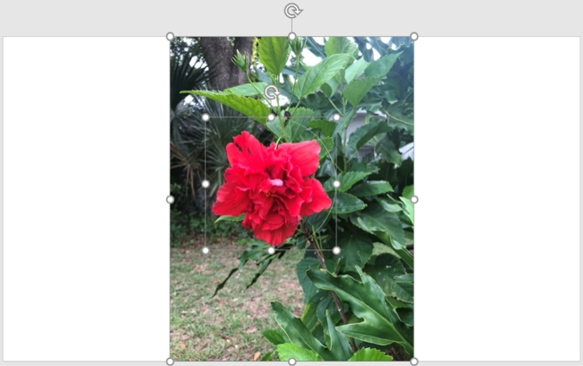 Изображение и фигура после объединения и фрагментации