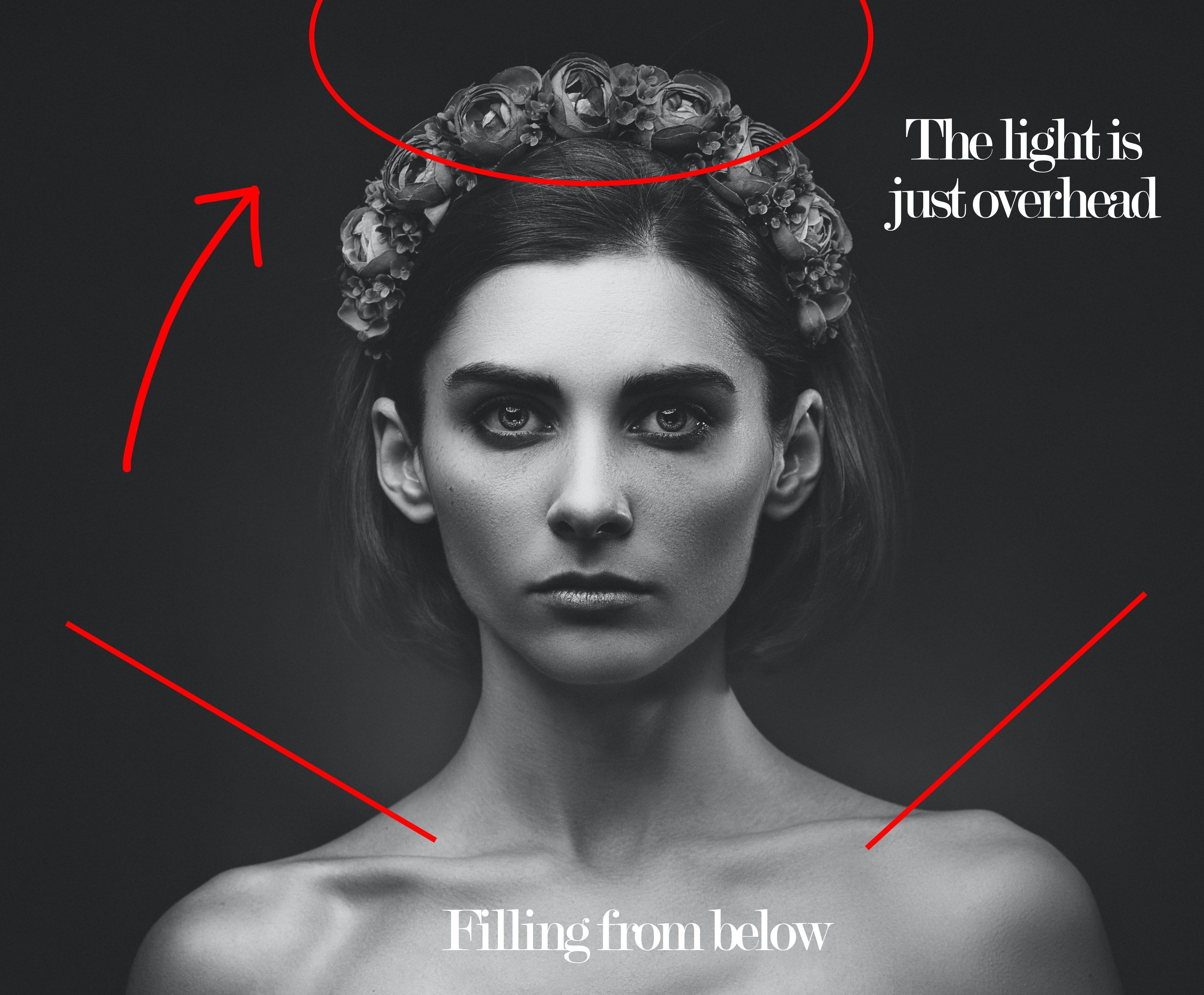 Схема бабочкового света.