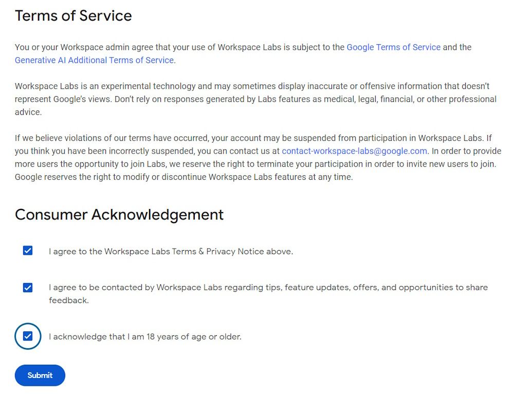 Google Workspace Labs sign up form showing submit button