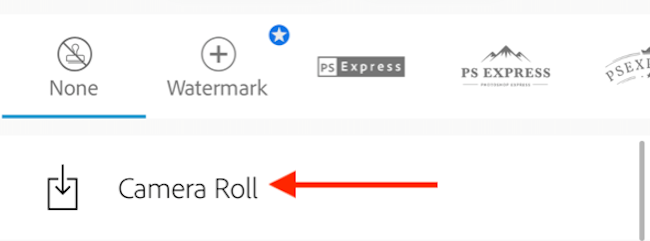 Нажмите Camera Roll, чтобы сохранить изображение