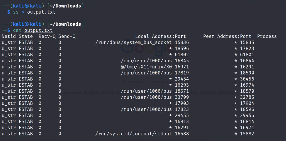 Сохранение вывода