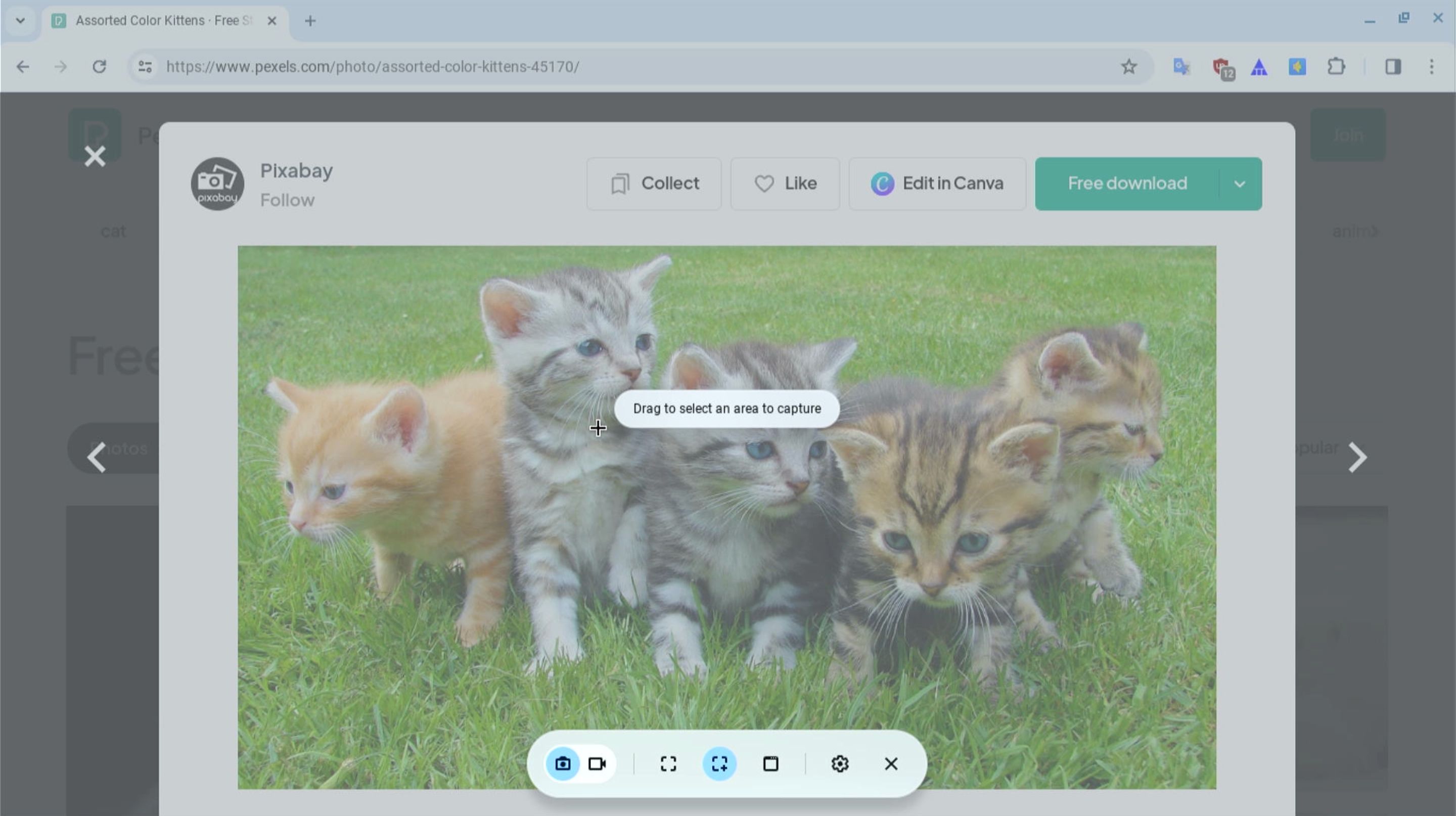 Опция захвата области экрана в ChromeOS