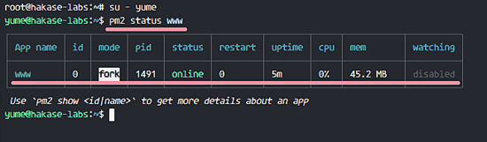 Процесс Node.js запущен в автозапуске pm2