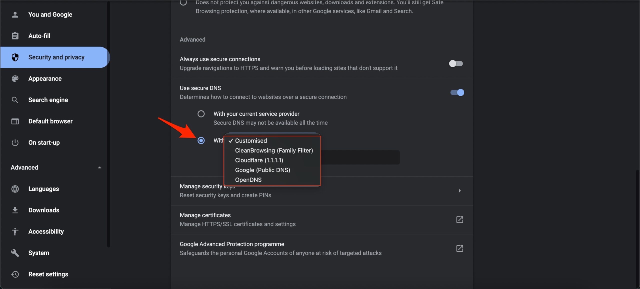 Seleccionar DNS personalizado