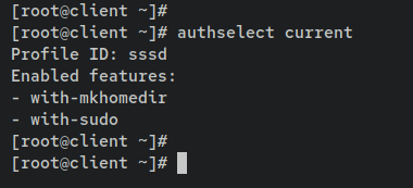 Проверка включённых функций authselect с with-sudo
