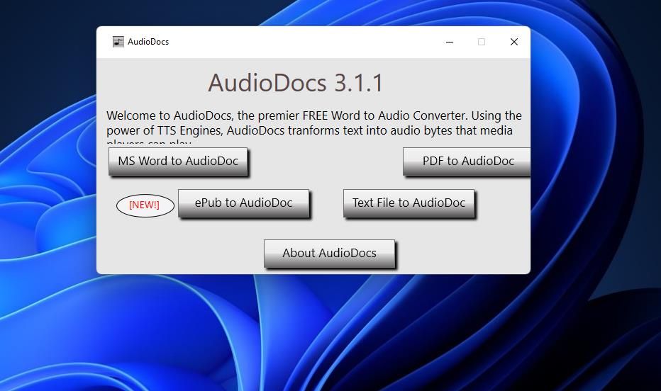 Окно AudioDocs