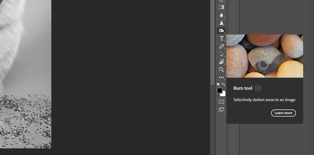 Шаг 4: выбор Burn