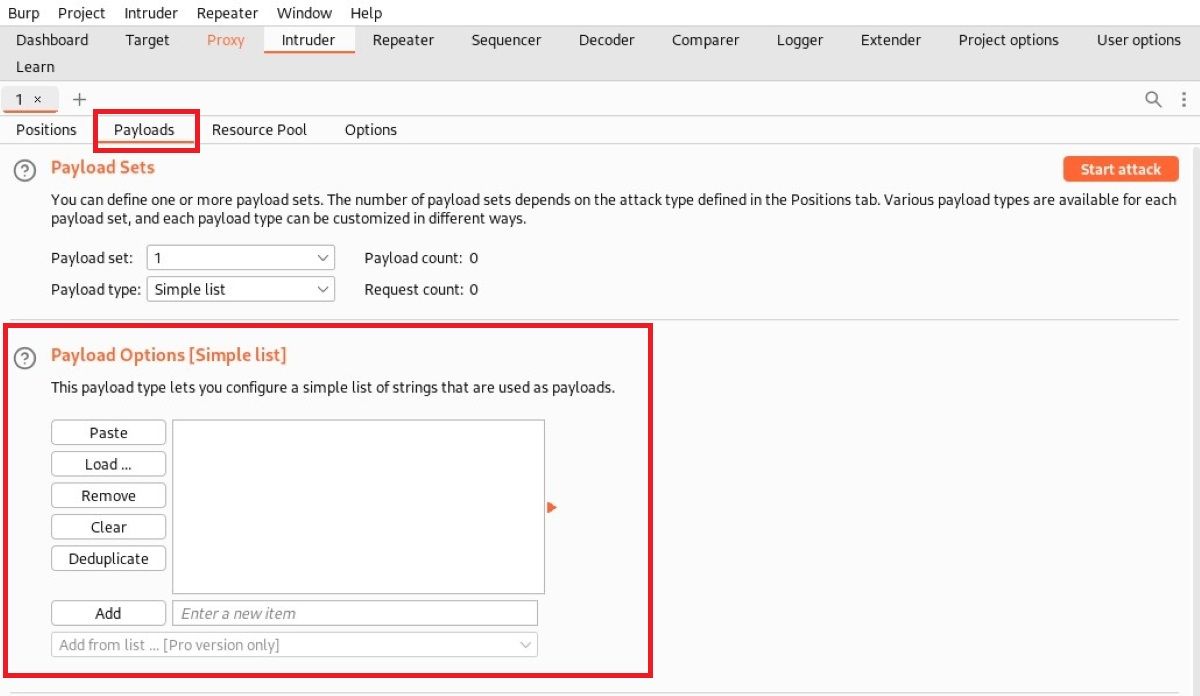 Опции payloads в Burp Suite