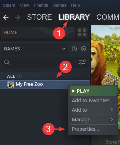 Свойства игры в Steam