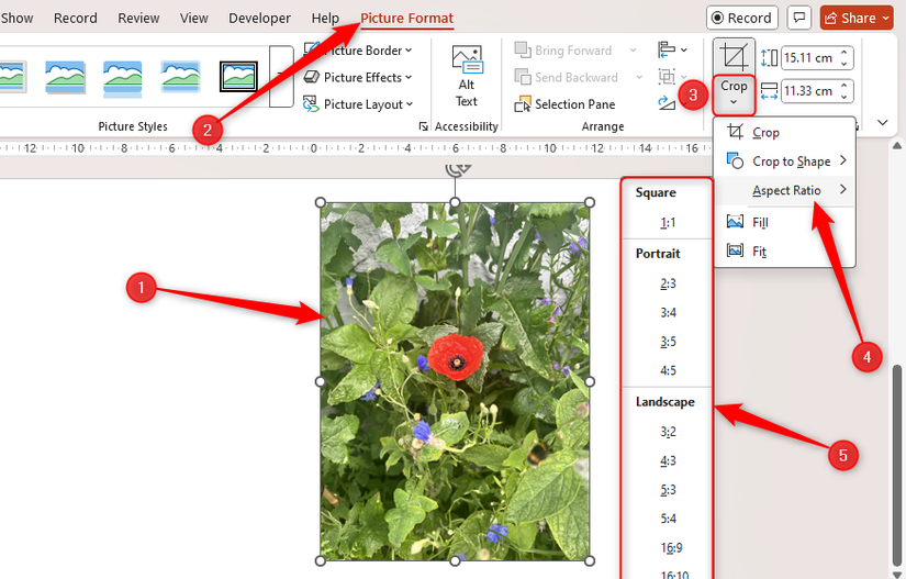 Opções de Proporção exibidas no PowerPoint.
