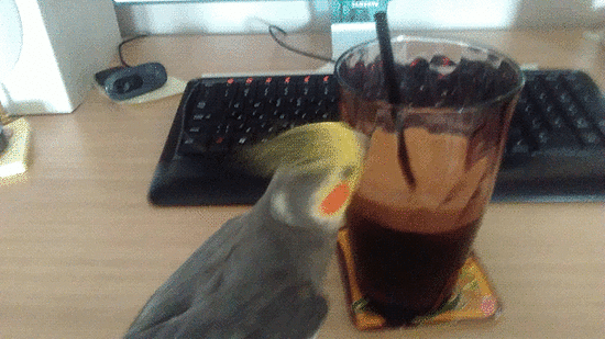 Итоговая GIF-анимация, созданная в GIMP