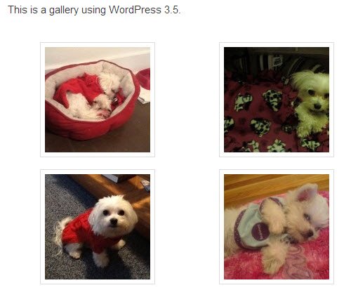 WordPress 3.5에서 갤러리가 삽입된 최종 결과 화면, 실제 게시물 미리보기 모습.