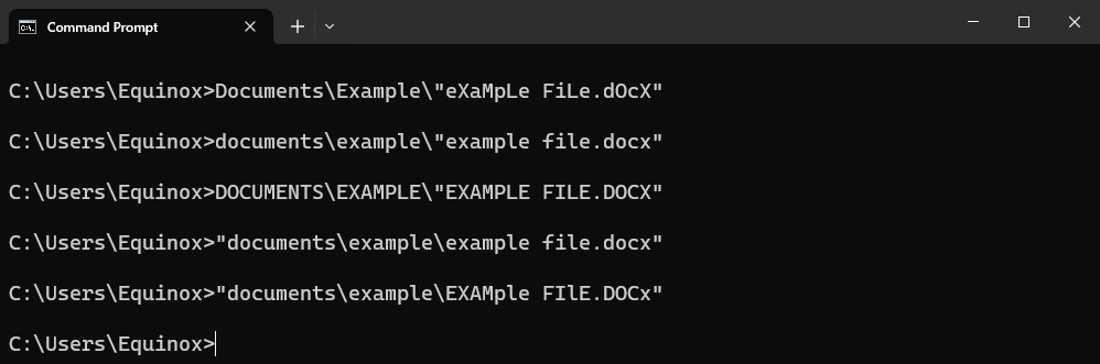 Примеры допустимых вариантов записи пути с разным регистром. 