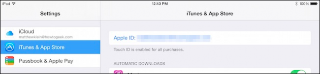 Экран Настройки iTunes & App Store с Apple ID