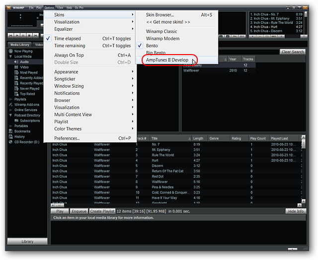 Окно выбора скина в Winamp