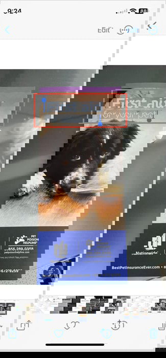 Выделение текста на фото на iPhone