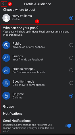 Настройте видимость трансляции и уведомления для подписчиков.