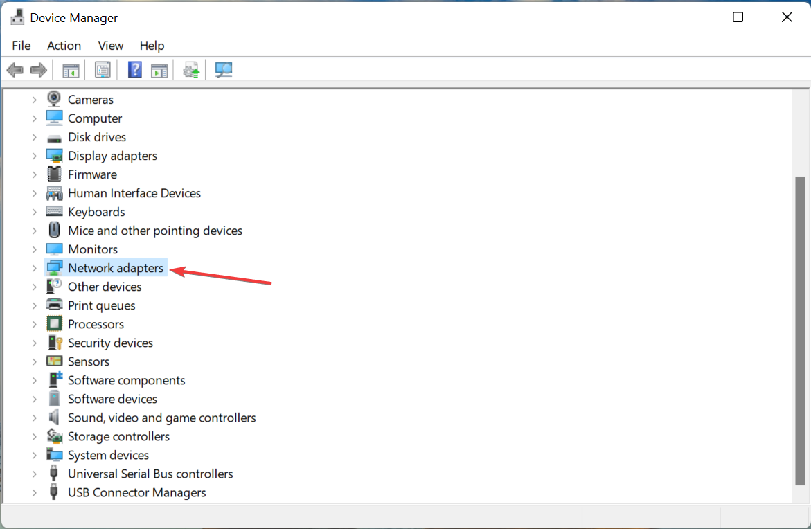 Запись «Сетевые адаптеры» в диспетчере