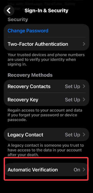 Параметр Автоматическая проверка на iPhone