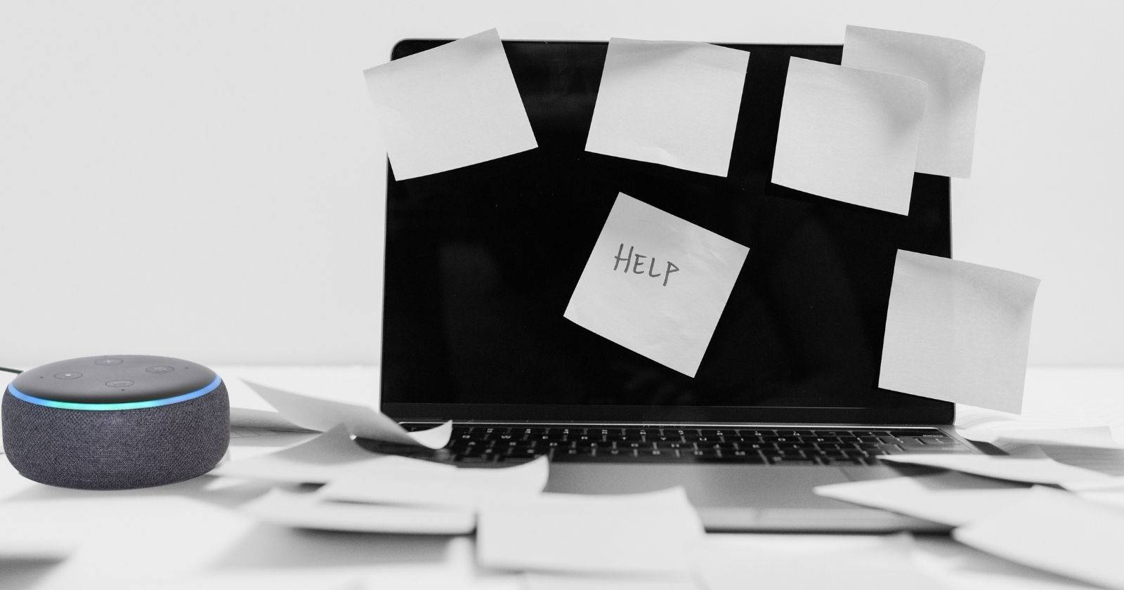 Emergency Help в Alexa: настройка и использование