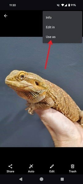 Выбор Использовать как в приложении Галерея