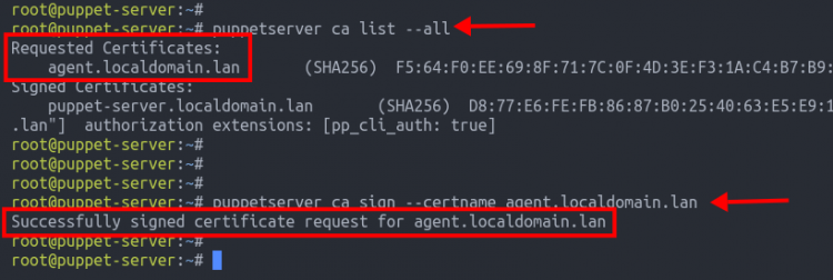 puppetserver ca list и sign — подтверждение успешной подписи сертификата агента