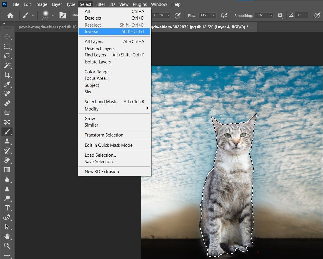 Инверсия выделения и размытие фона