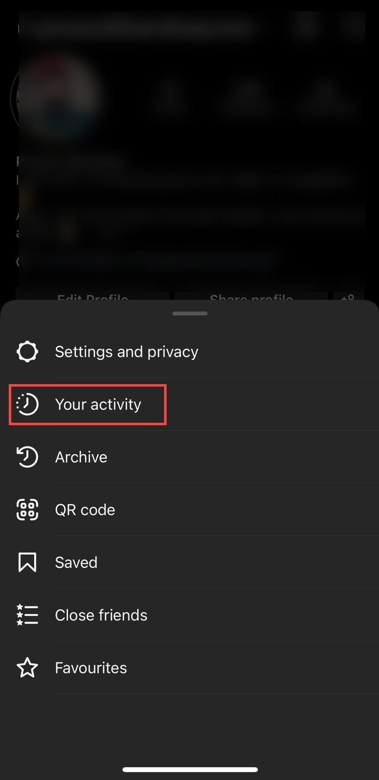 your activity option Instagram