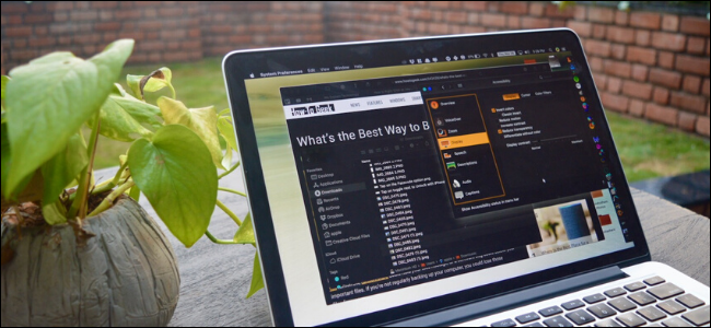 Как инвертировать цвета на Mac