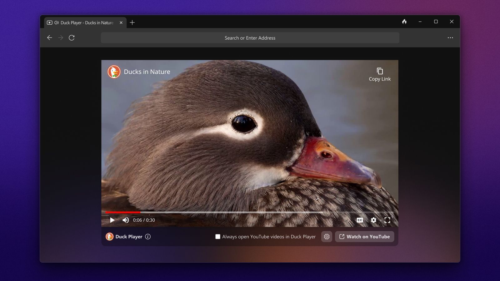 Duck Player — встроенный плеер DuckDuckGo для видео