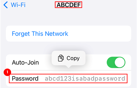 Пароль сети отображён после авторизации