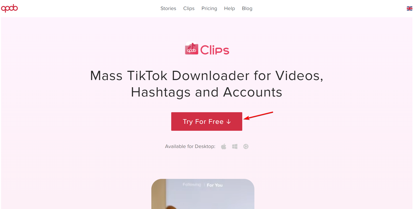 Установка Qoob Clips — окно установки