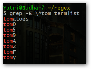 Иллюстрация: якоря начала слова с экранированием и результат в grep