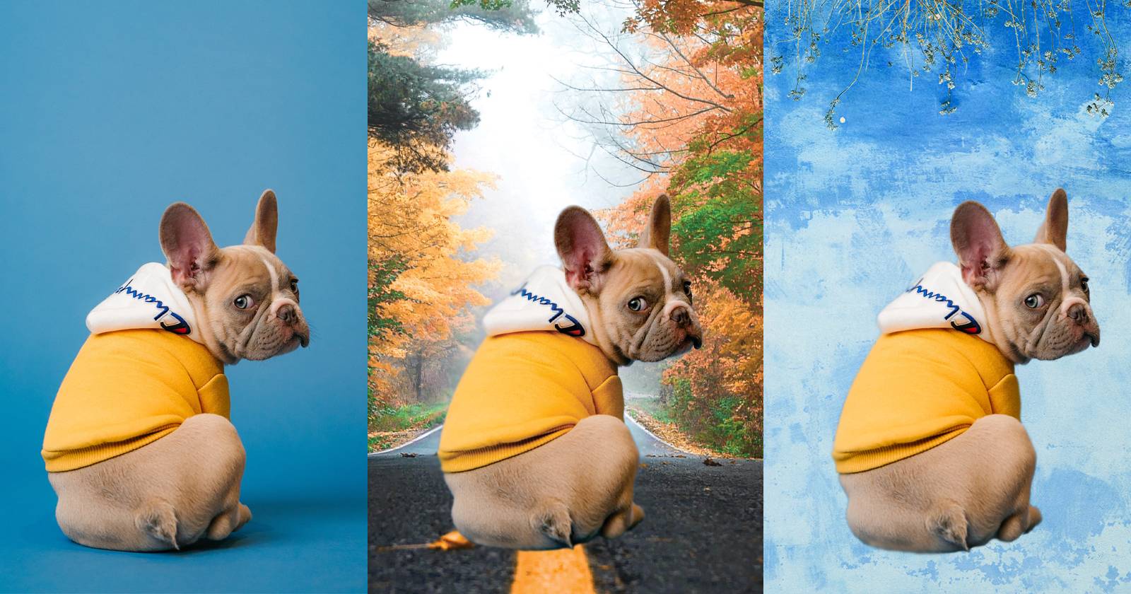 Удалить фон в CorelDRAW — пошаговое руководство