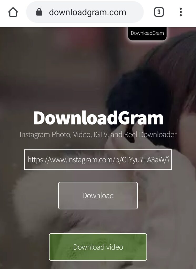 Процесс загрузки видео через DownloadGram