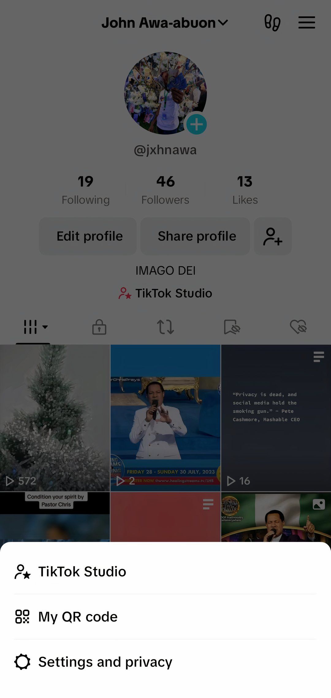 Скриншот страницы профиля пользователя в TikTok