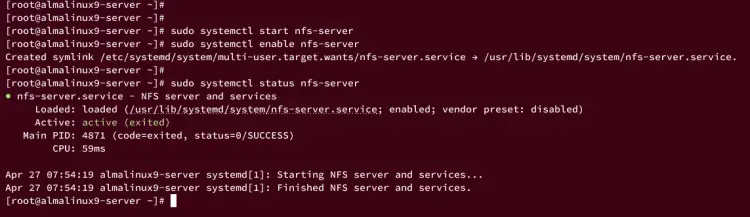 Verificación del servicio nfs-server