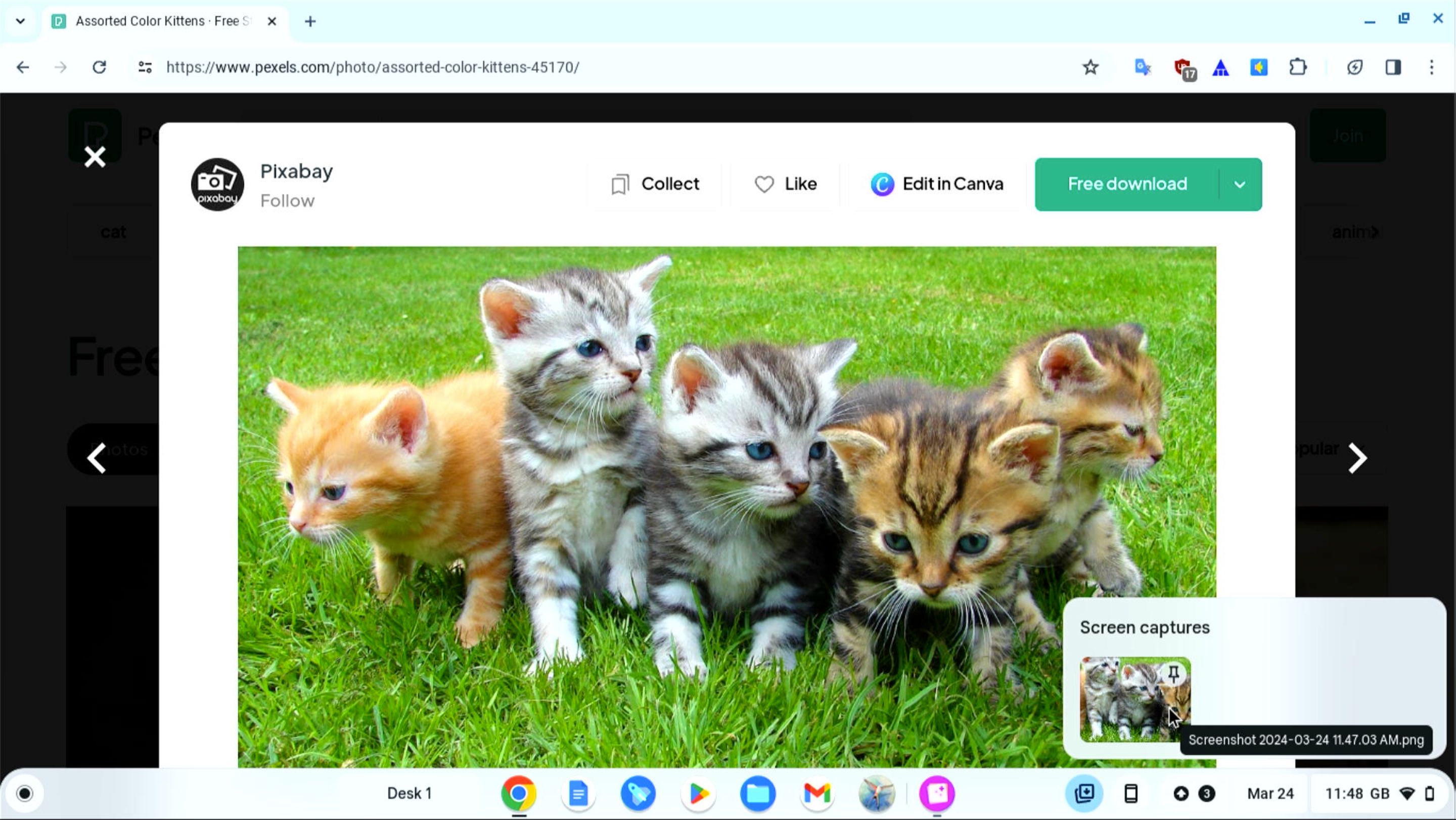 Скриншот выделенной области отображается в превью