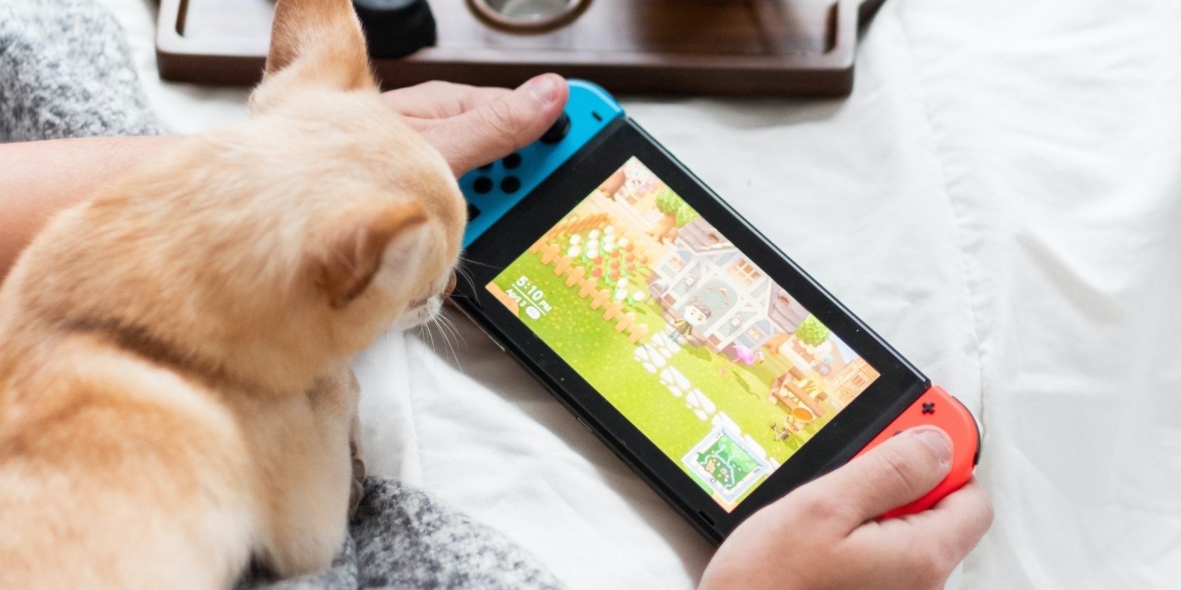 Игрок держит Nintendo Switch рядом с собакой