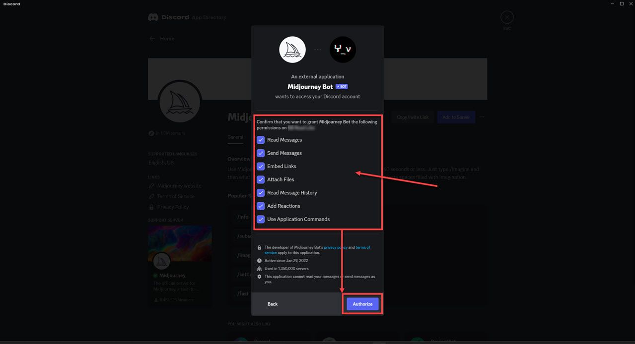 Checking Discord app permissions