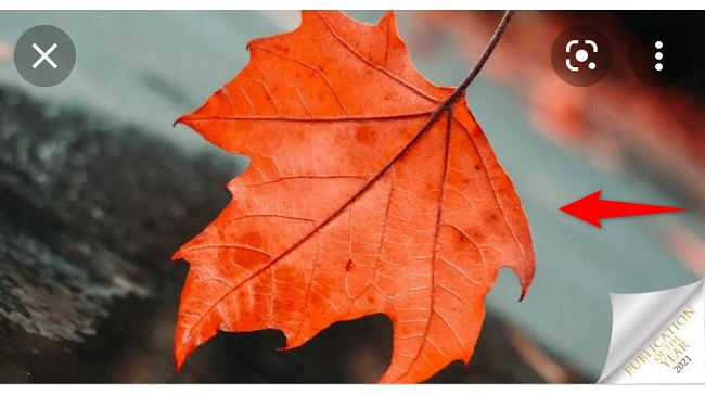 Нажмите и удерживайте изображение, чтобы открыть меню действий.