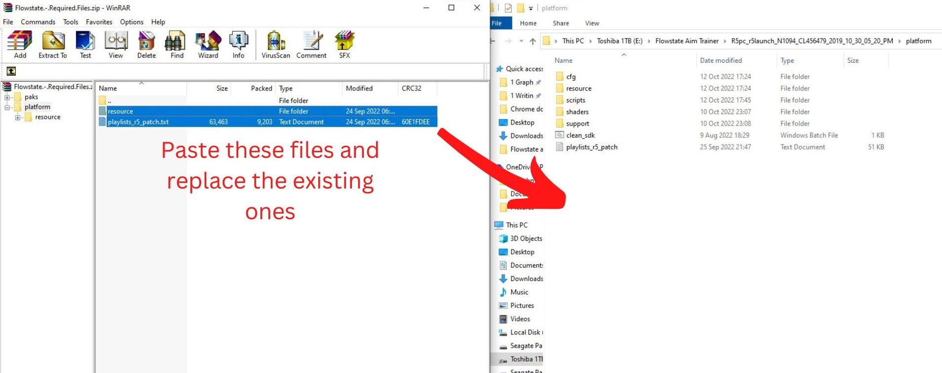 Перенос файлов из архива Flowstate Required Files в папку platform