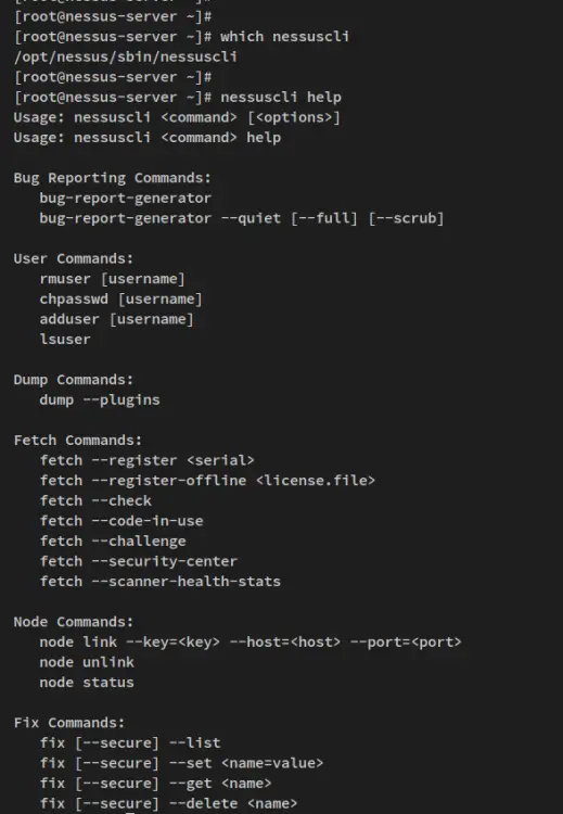 Вывод справки nessuscli