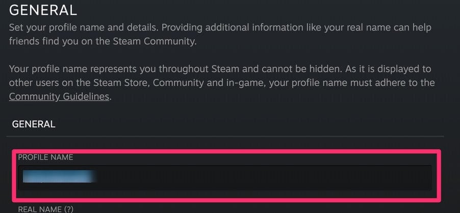 Campo Nome do Perfil nas configurações do perfil do Steam
