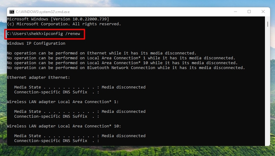 Команда ipconfig /renew в командной строке Windows