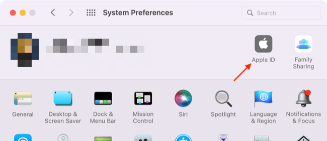 Access Apple ID settings in System Preferences
