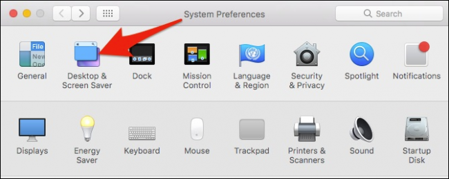 Выбор между фотоальбомами и графическими заставками в macOS