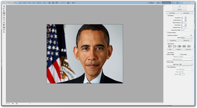 Окно выбора фильтра Пластика в меню Photoshop